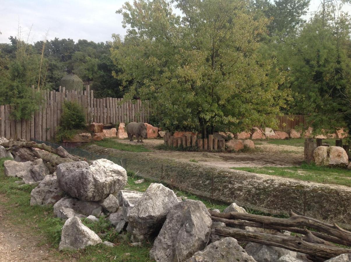 Residenza Al Sogno - On Lake Garda カヴァイオーン・ヴェロネーゼ エクステリア 写真