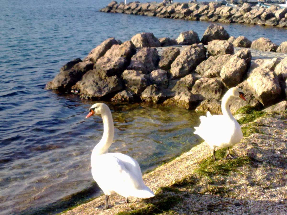 Residenza Al Sogno - On Lake Garda カヴァイオーン・ヴェロネーゼ エクステリア 写真